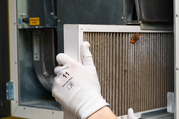 Best Air Duct Cleaning Near Me  in Rockwell, AR